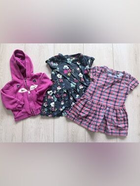 Tea Collection 3T Bundle Fox Hoodie + 2 Dresses